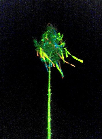 img00002.jpg