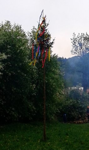 img00004.jpg