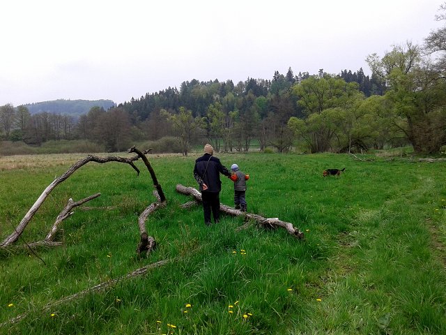 img00005.jpg