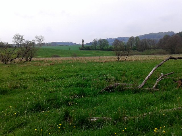 img00008.jpg