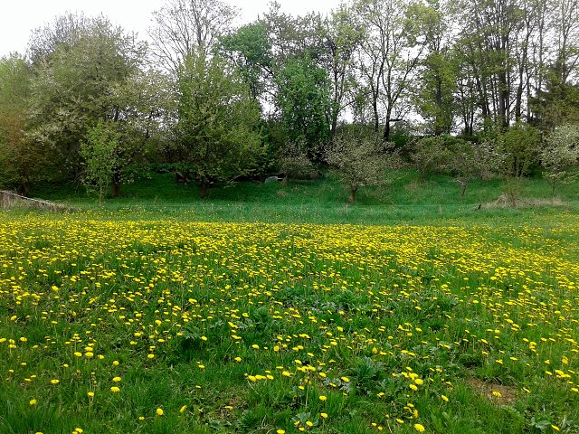 img00014.jpg
