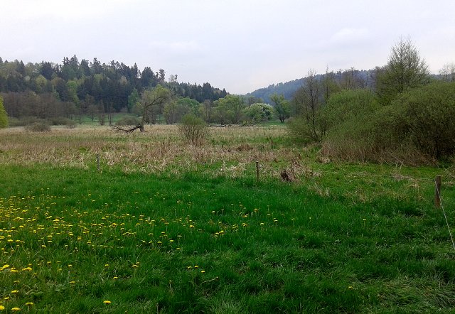 img00015.jpg