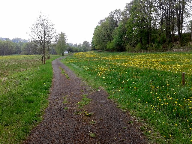 img00016.jpg