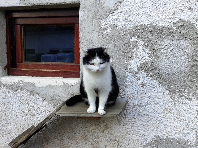 img00019.jpg