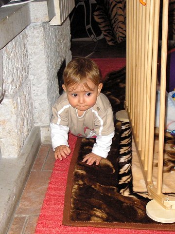 img00006.jpg