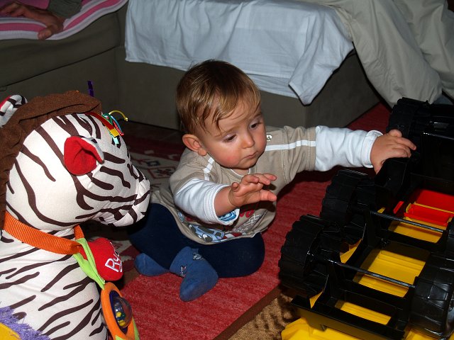 img00045.jpg