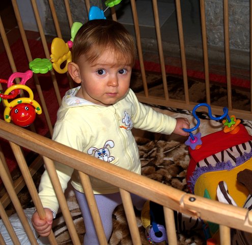 img00060.jpg