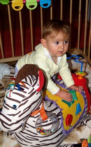 img00063.jpg
