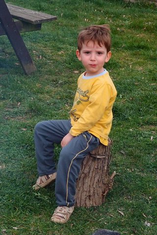 img00006.jpg
