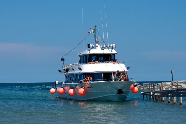 img00010.jpg