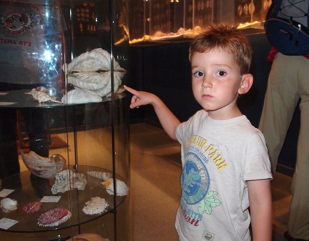 img00002.jpg