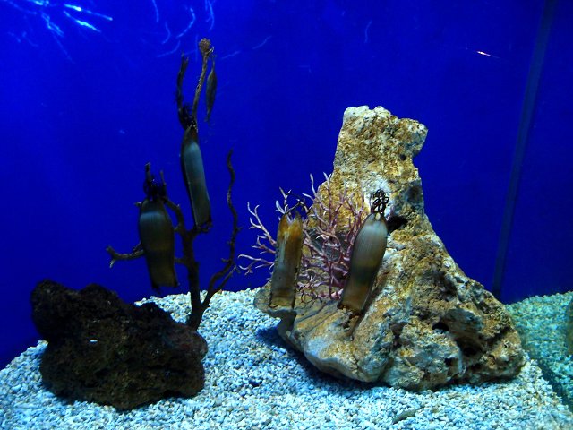 img00006.jpg