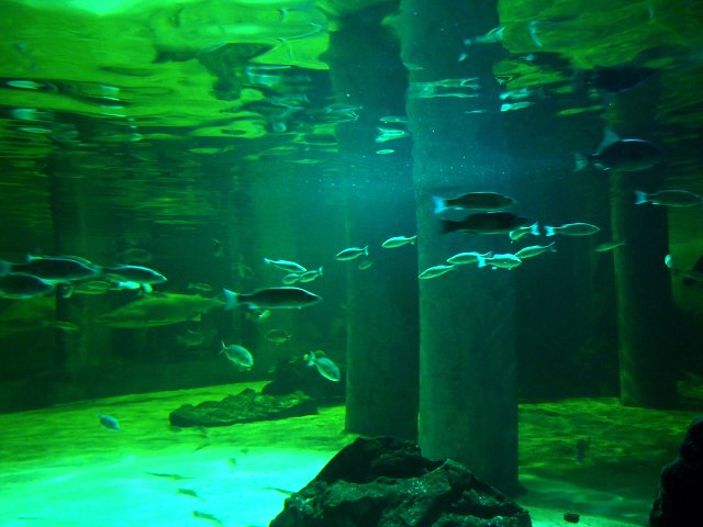 img00007.jpg