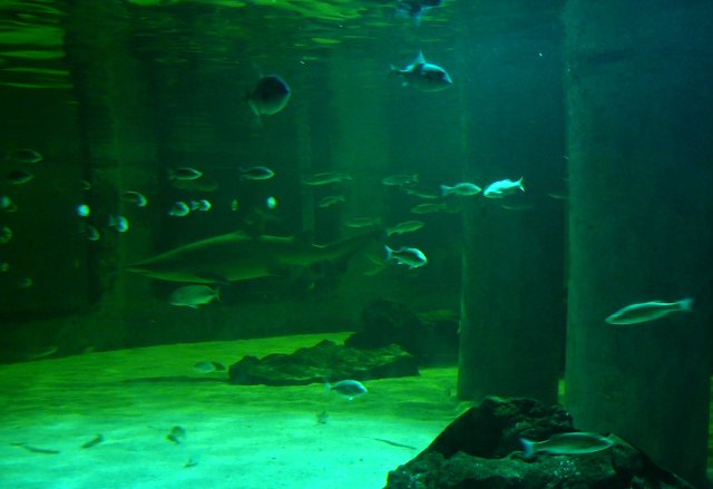img00008.jpg