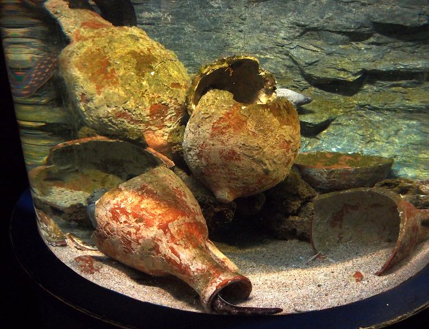 img00016.jpg
