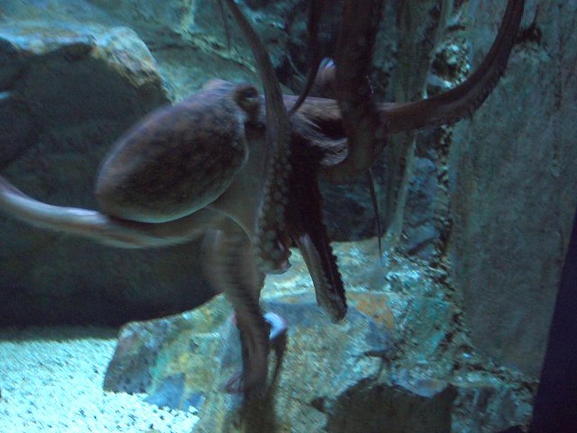 img00017.jpg