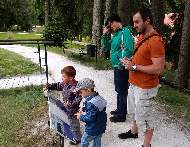 img00007.jpg