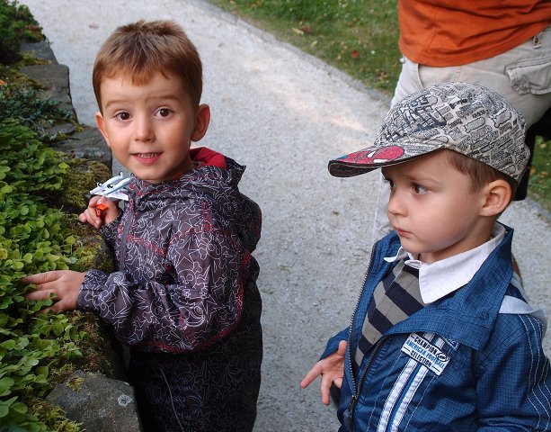 img00061.jpg