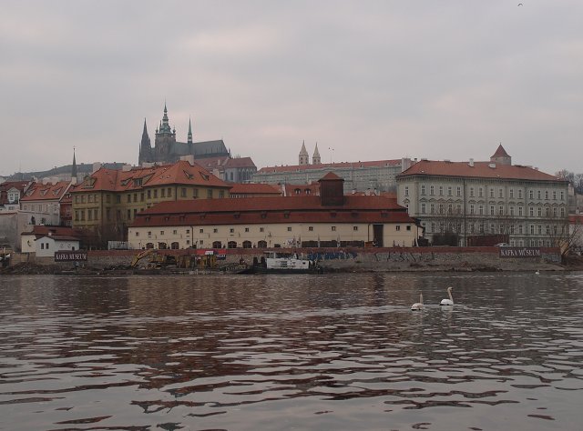img00015.jpg