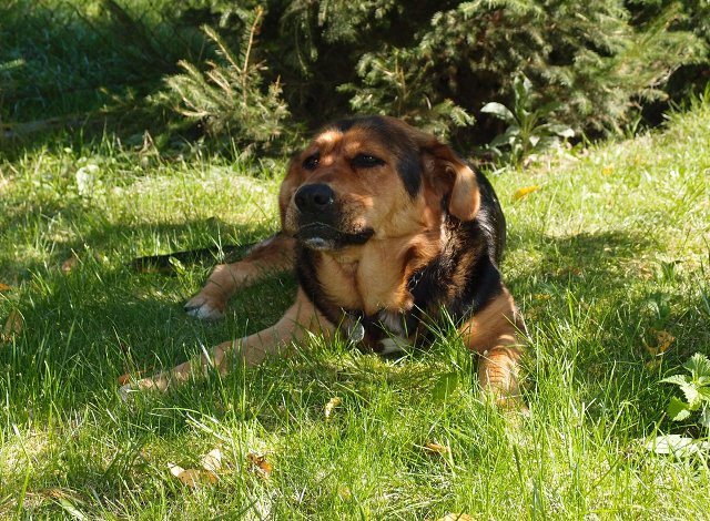 img00003.jpg