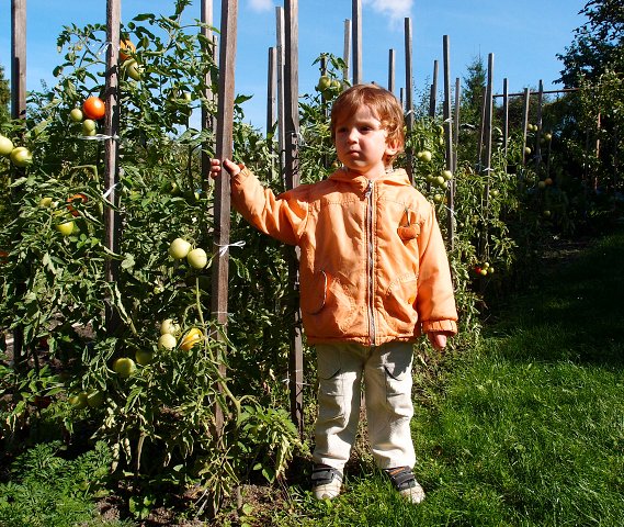img00006.jpg