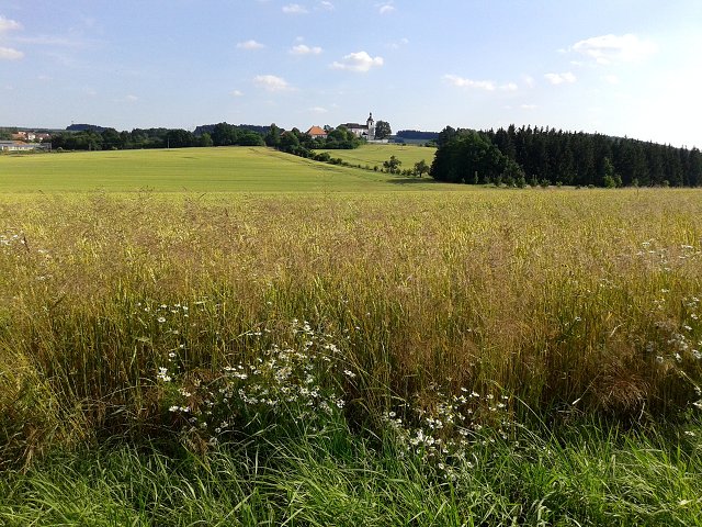 img00009.jpg