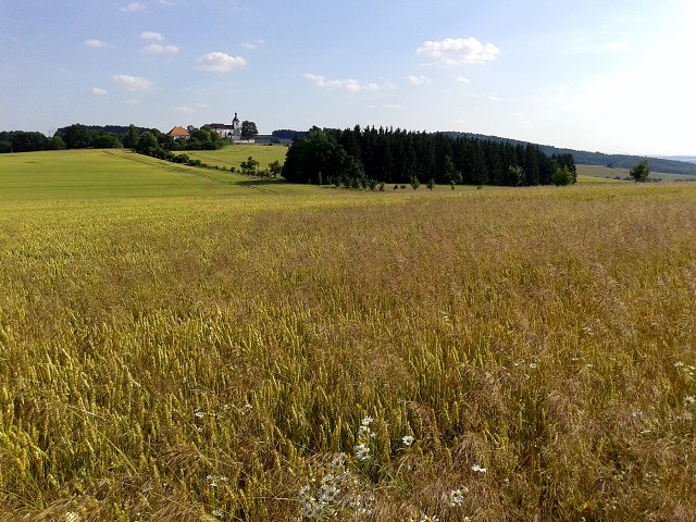 img00011.jpg