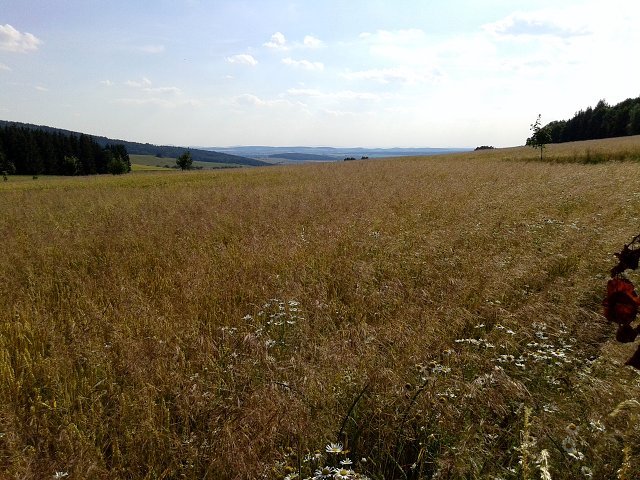 img00012.jpg