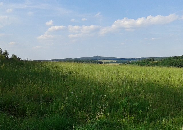 img00013.jpg