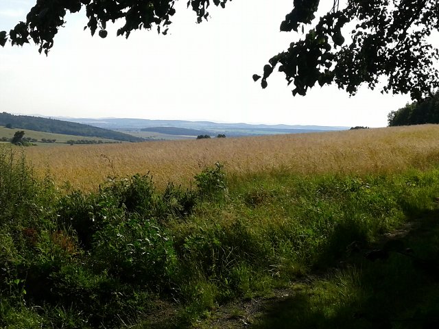 img00017.jpg
