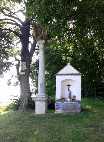 img00020.jpg