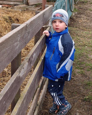 img00017.jpg