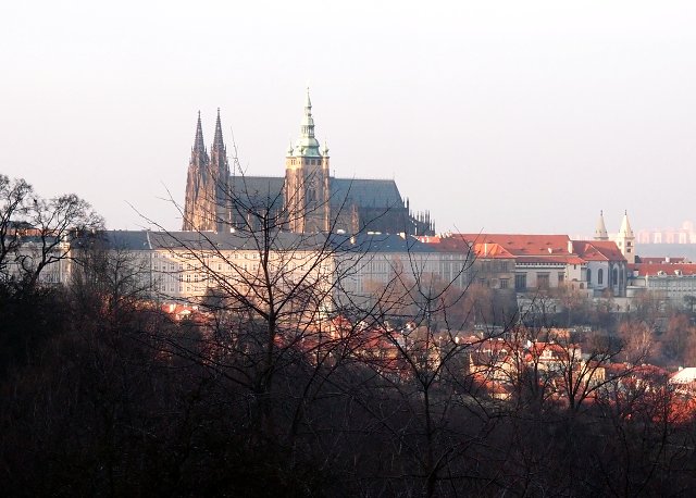 img00032.jpg