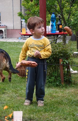 img00003.jpg