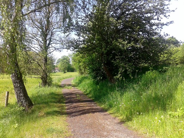 img00002.jpg