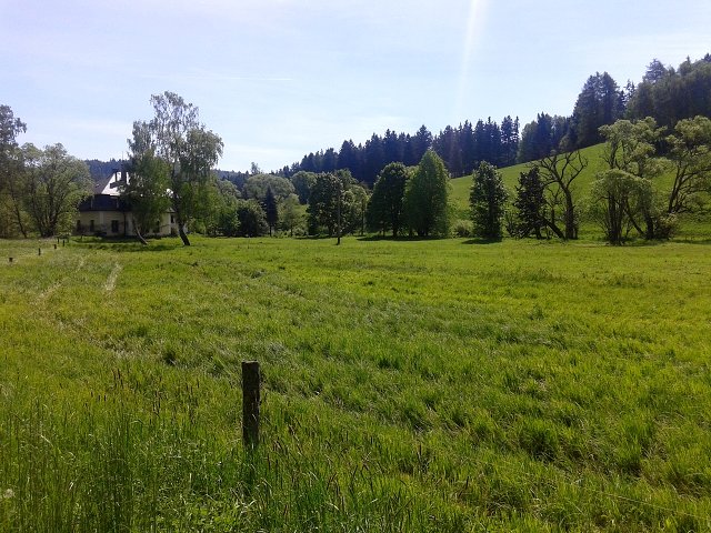 img00003.jpg