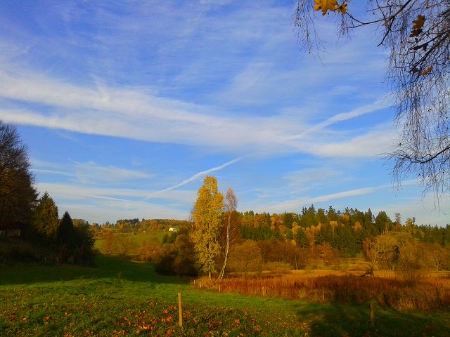 img00002.jpg