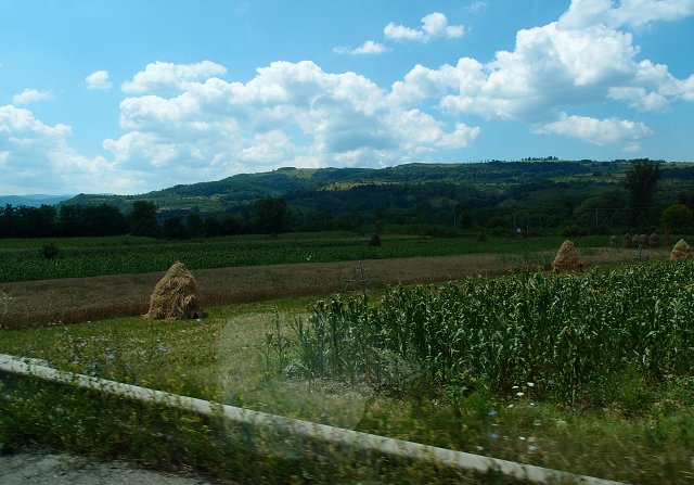 img00009.jpg