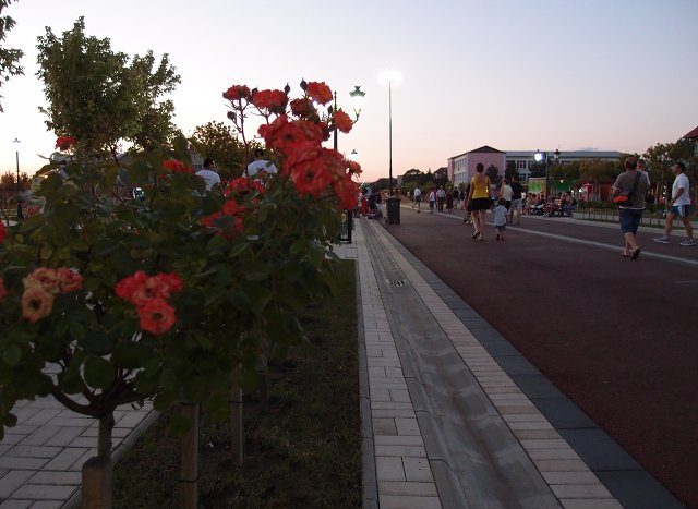 img00025.jpg
