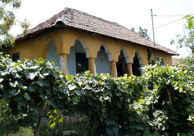 img00003.jpg