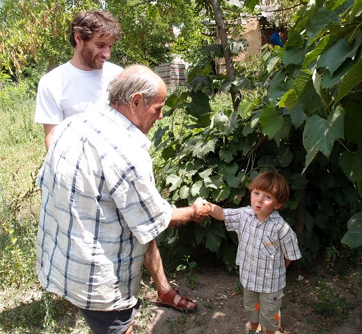 img00007.jpg