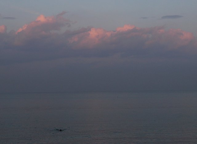 img00047.jpg