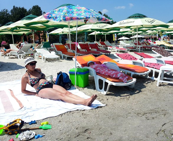 img00084.jpg