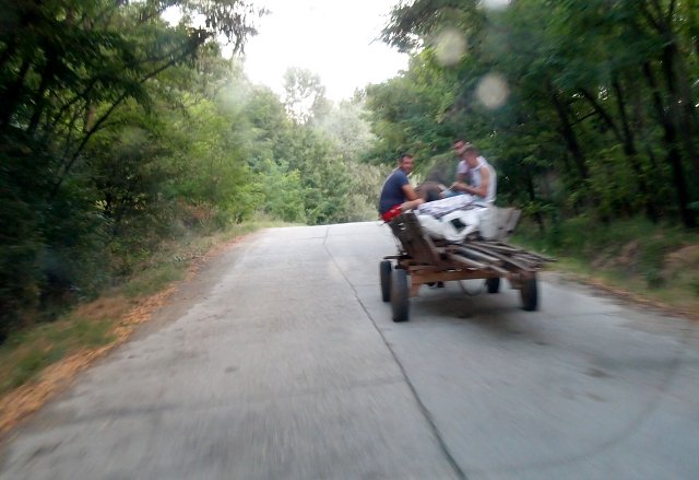 img00040.jpg