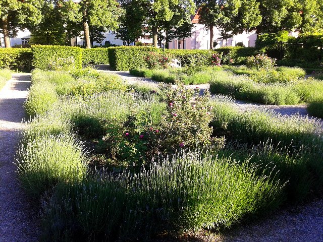 img00002.jpg