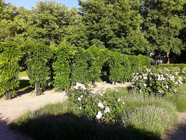img00003.jpg