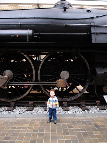img00005.jpg