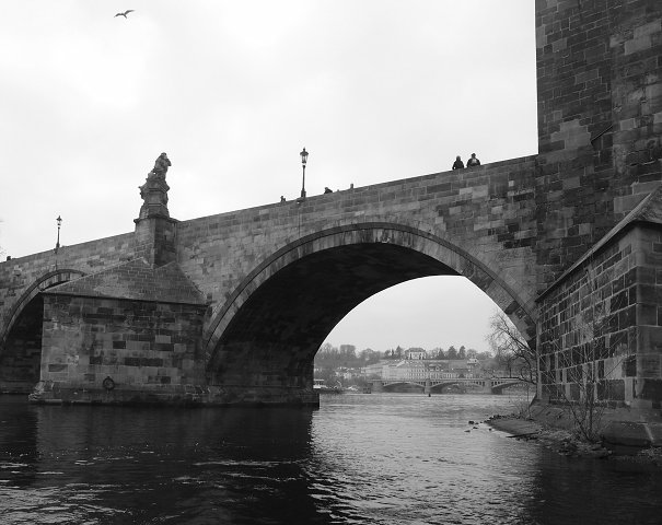 img00003.jpg