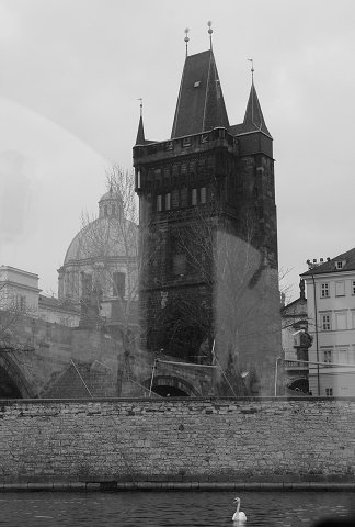 img00008.jpg