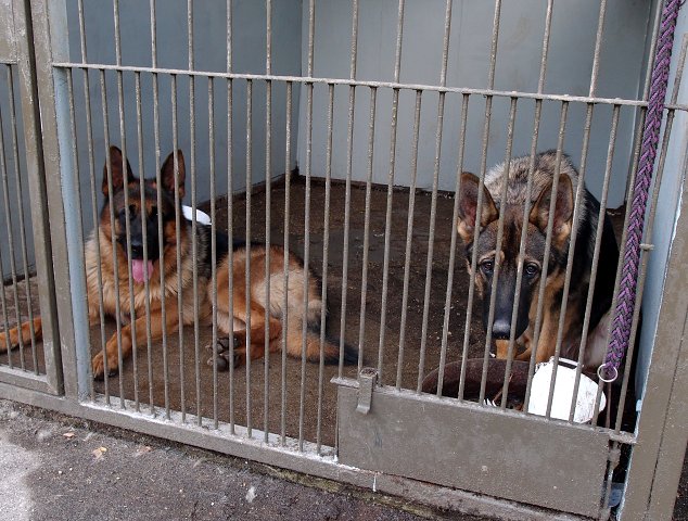 img00049.jpg